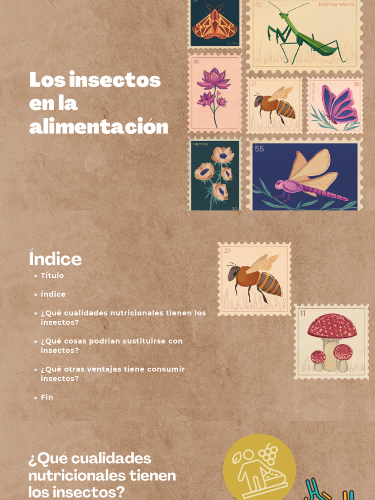 Los Insectos en La Alimentación | PDF