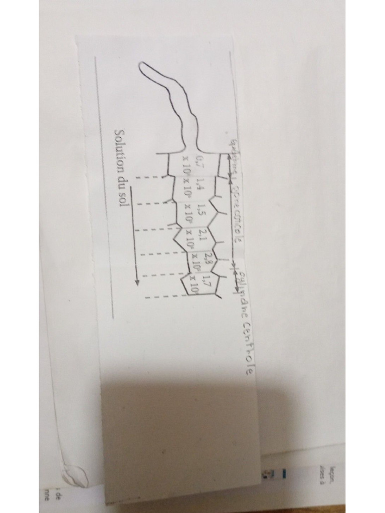 GH | PDF