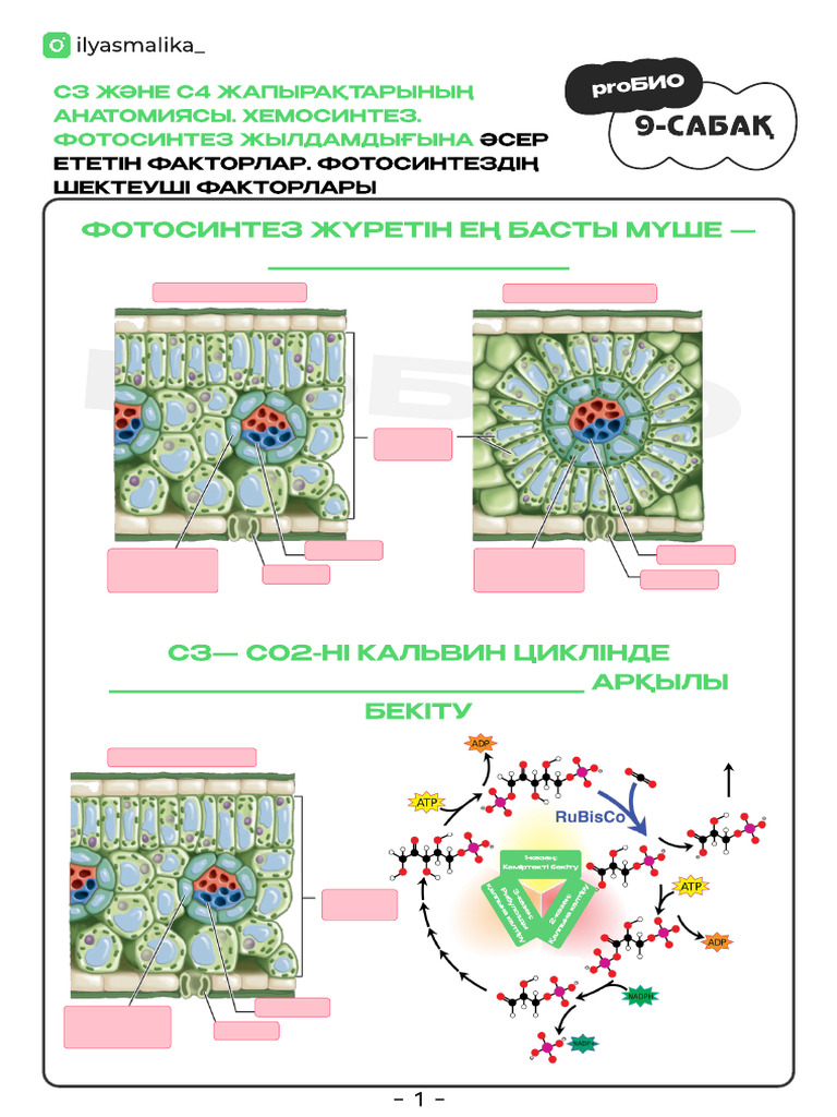 Анорексиялық жалаңаш фотосуреттер