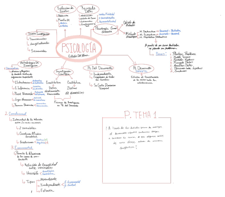 Mapa Conceptual Tema 1 Psicología | PDF