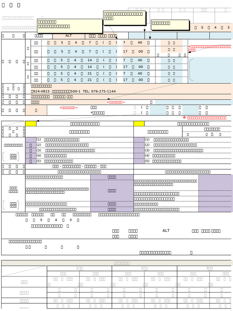 Japanese Business Trip Request-Report Form | PDF