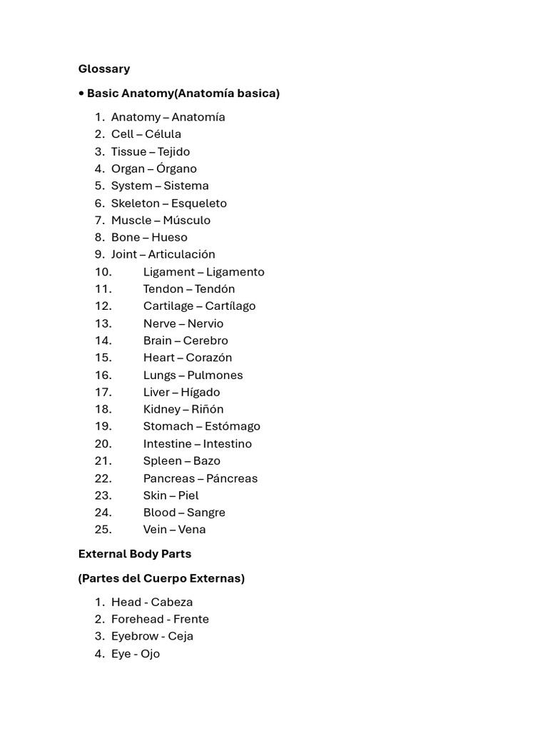 Anatomia Basica-Ingles | PDF | Aorta | Intestino grueso
