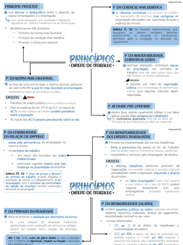 princ-pios-do-direito-do-trabalho-pdf-lei-trabalhista-direito