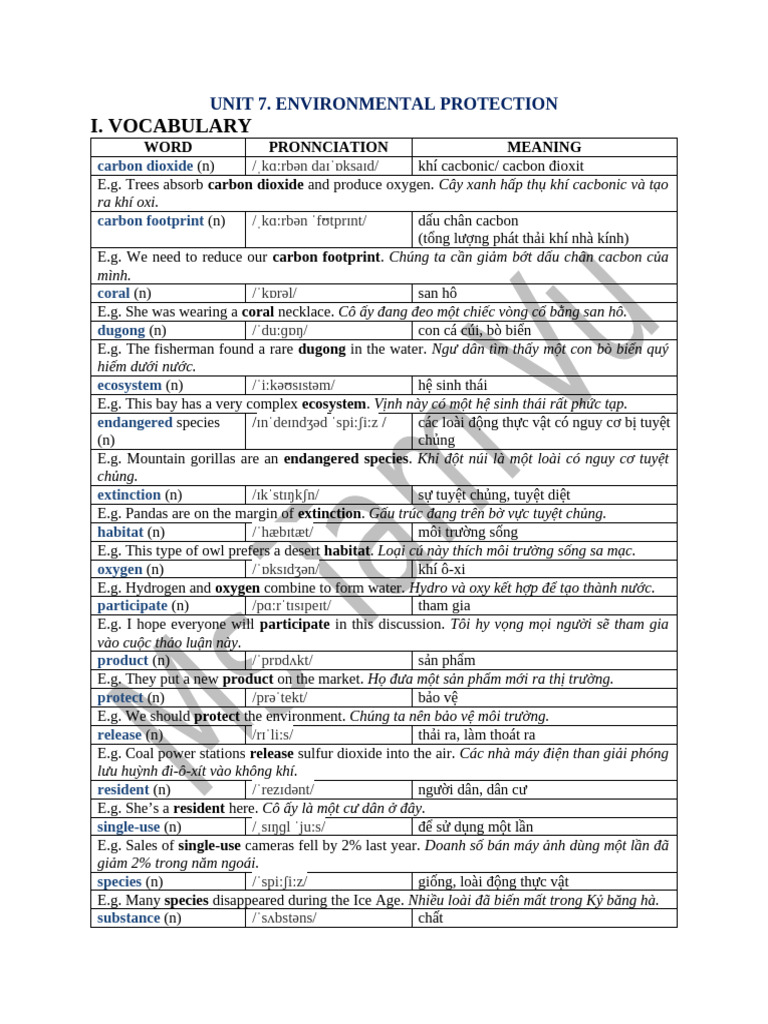 Unit 7 | PDF