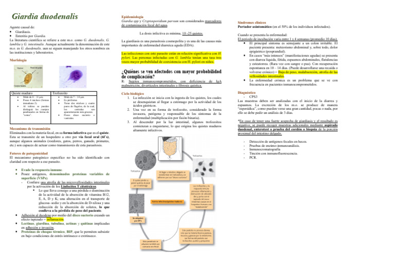 Giardia Duodenalis | PDF | Especialidades Medicas | Diarrea