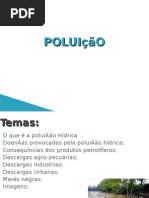 Poluição Hídrica