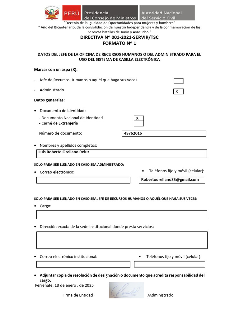 Formato N 1 | PDF