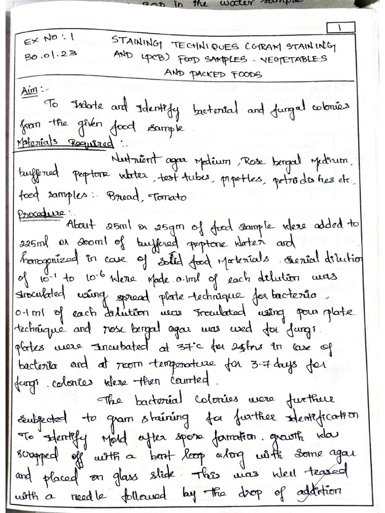 Staining Technique Pdf
