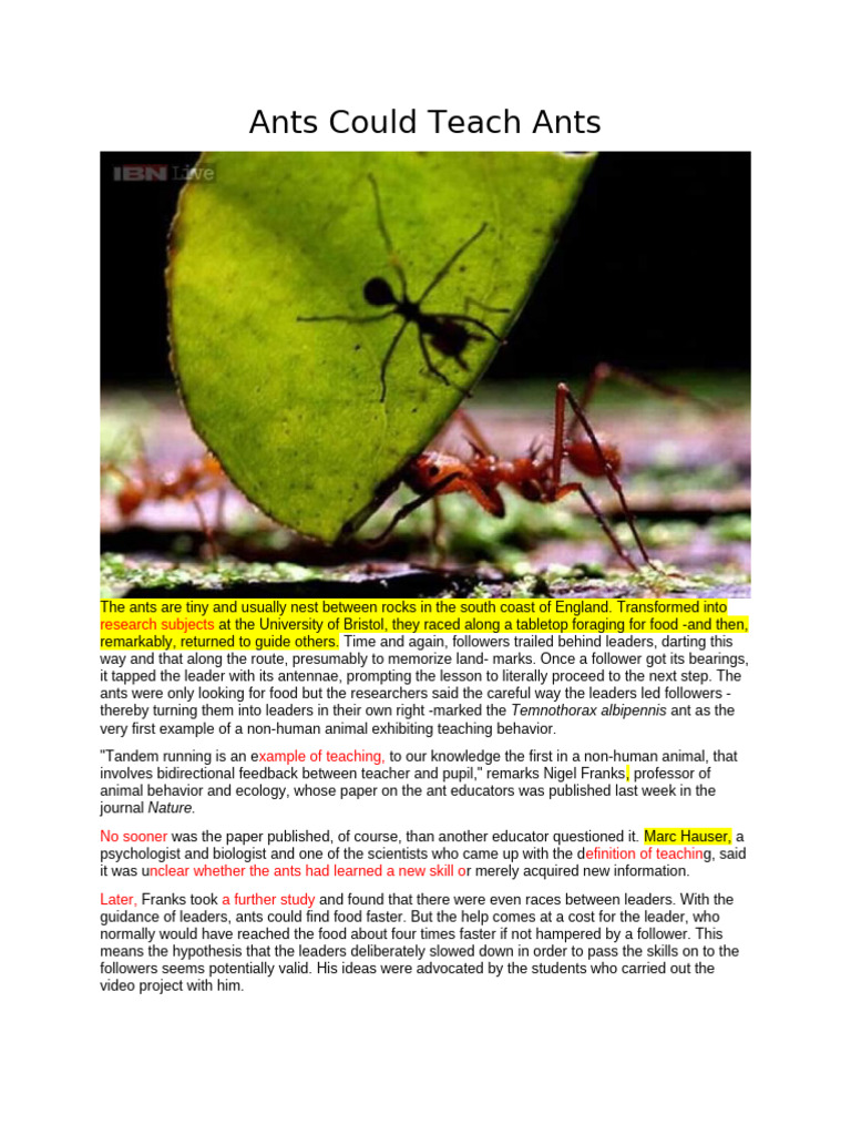 Ants could teach ants pdf psychology behavioural sciences