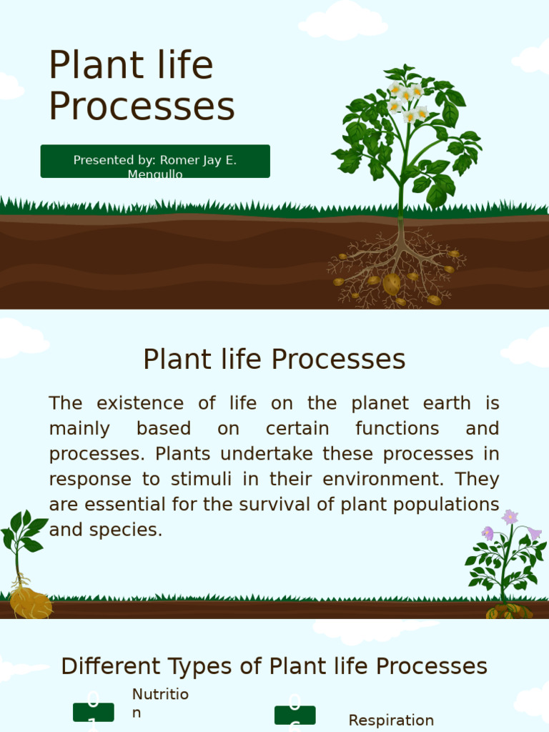 Plant Life Processes | PDF | Plants | Nutrition