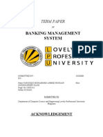 Banking Management System: Term Paper