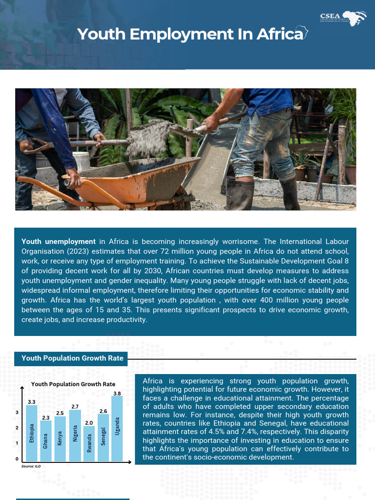 Youth Employment Challenges in Africa | PDF | Africa | Unemployment