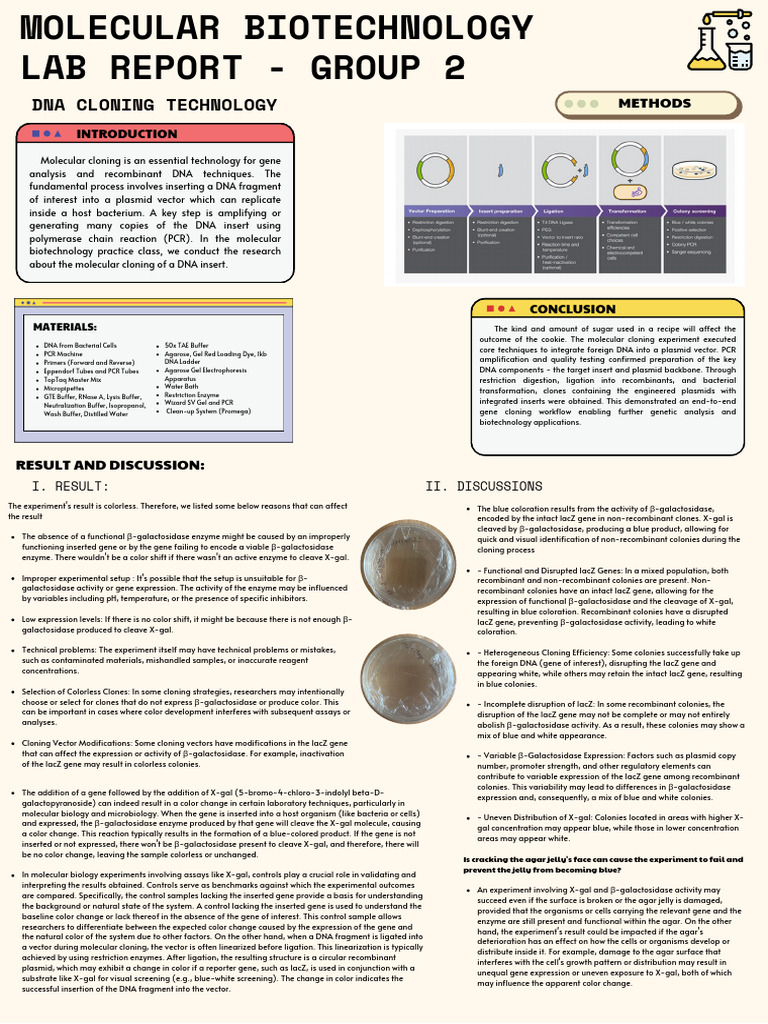 Molecular Cloning Techniques and Results | PDF | Molecular Cloning ...