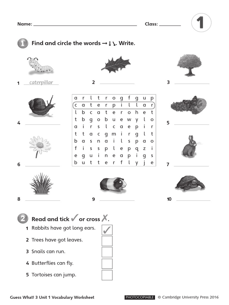U1 - Worksheets - Guess What 3 | PDF