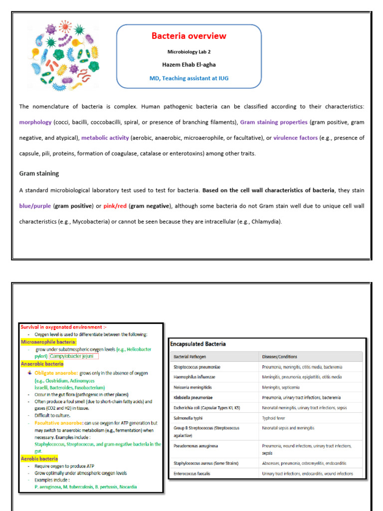 Bacterial Pathogens and Their Infections | PDF | Streptococcus | Bacteria