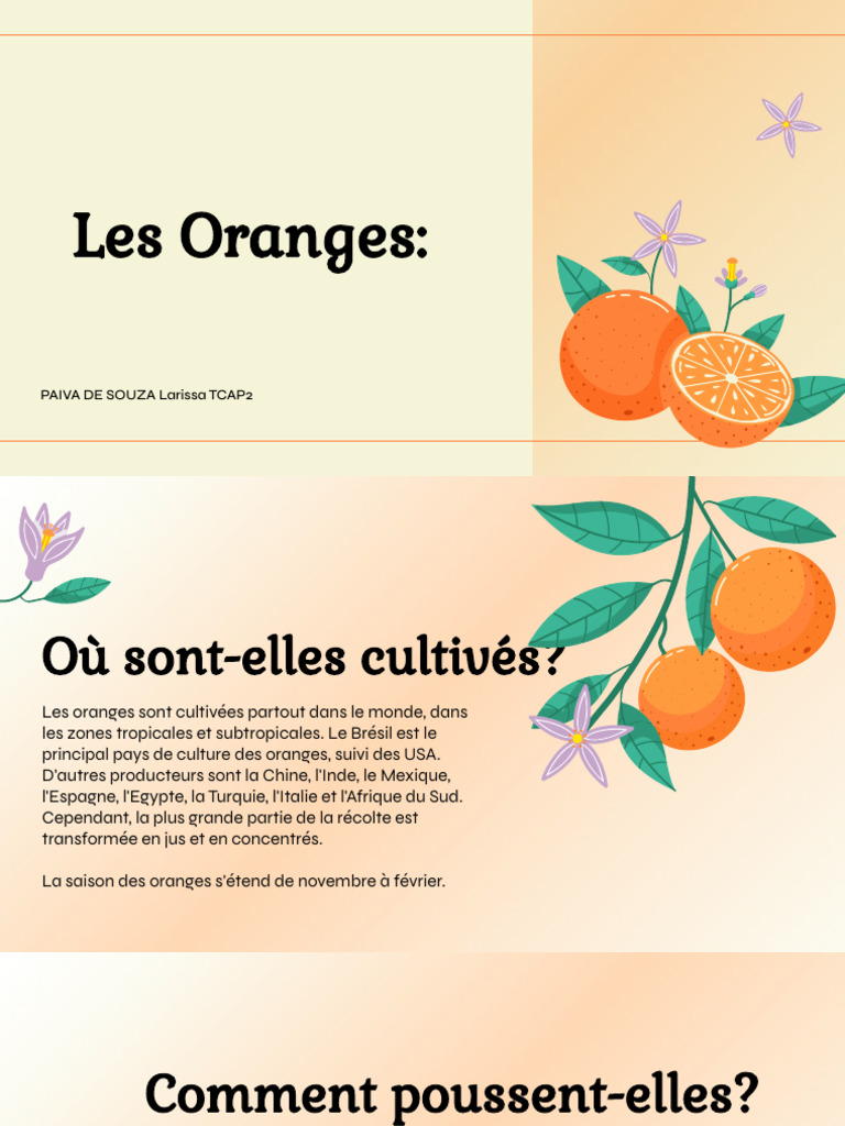 Cultivation et origine des oranges | PDF