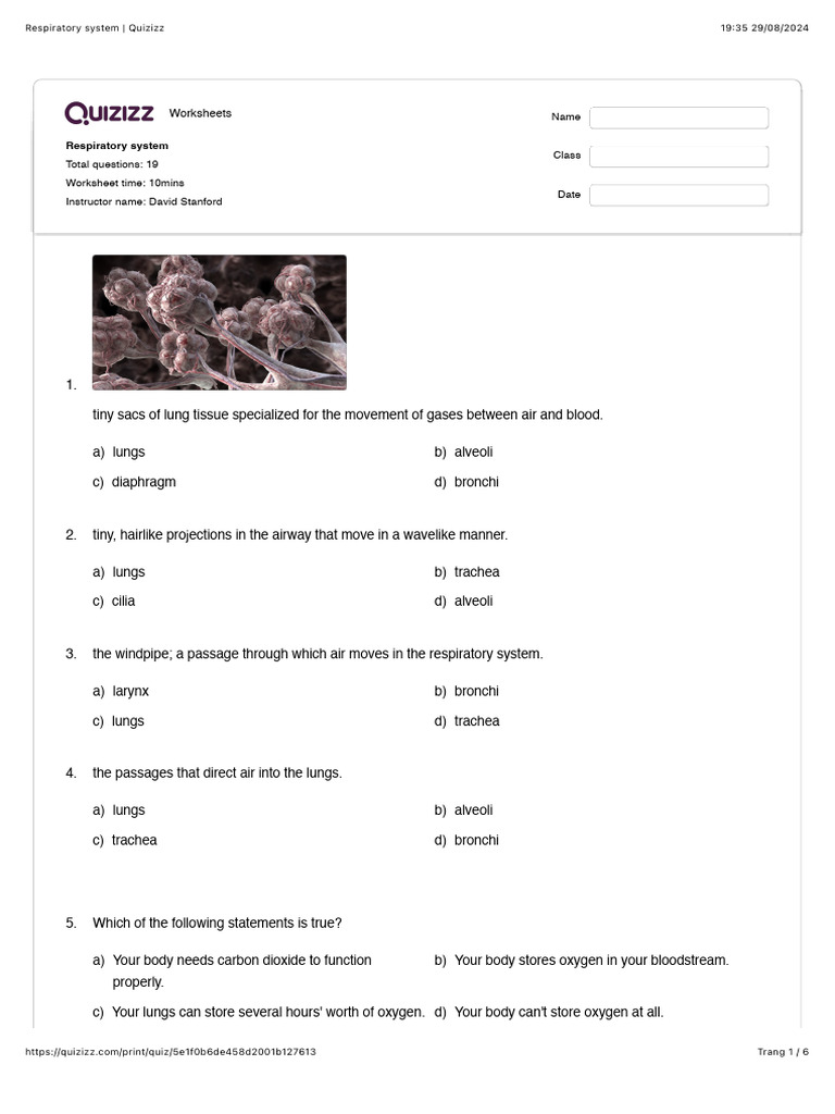 Respiratory system visual data 6