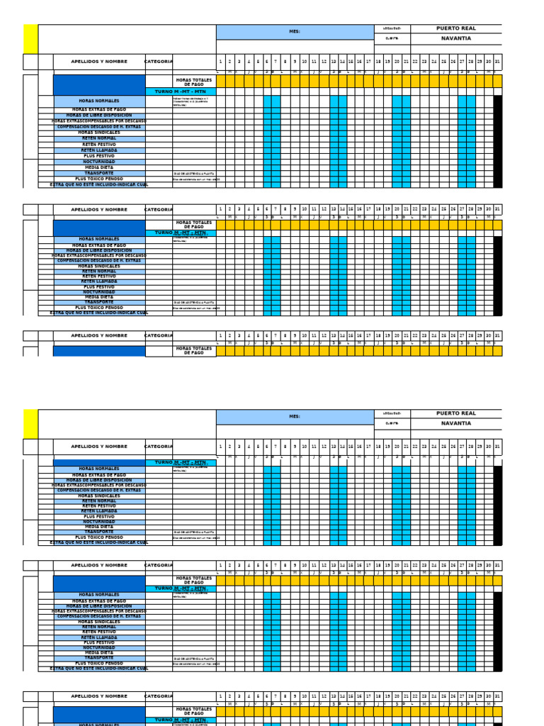 Nuevo FORMATO HORAS | PDF