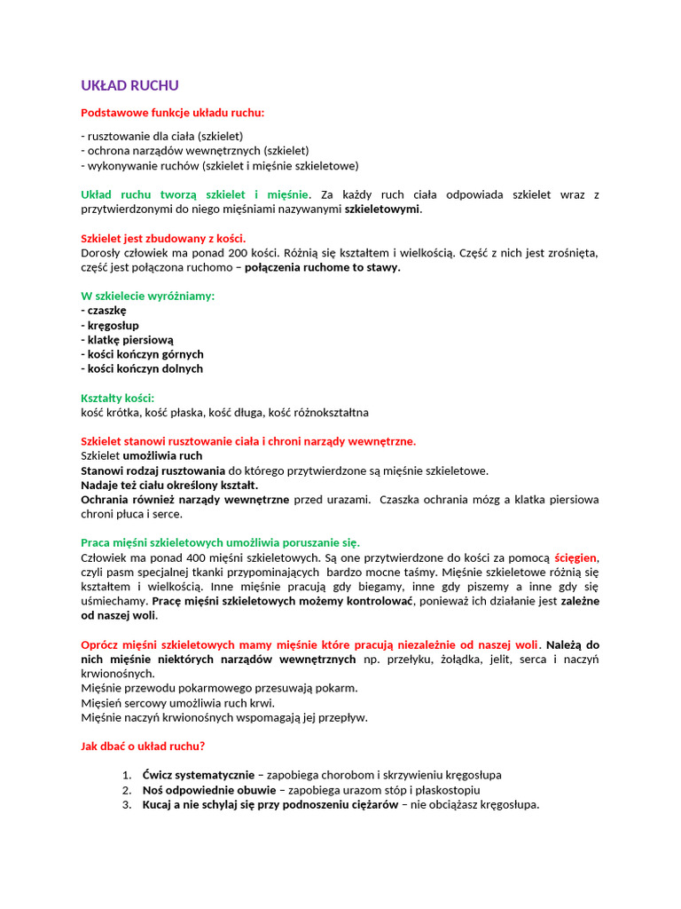 Układ Ruchu | PDF