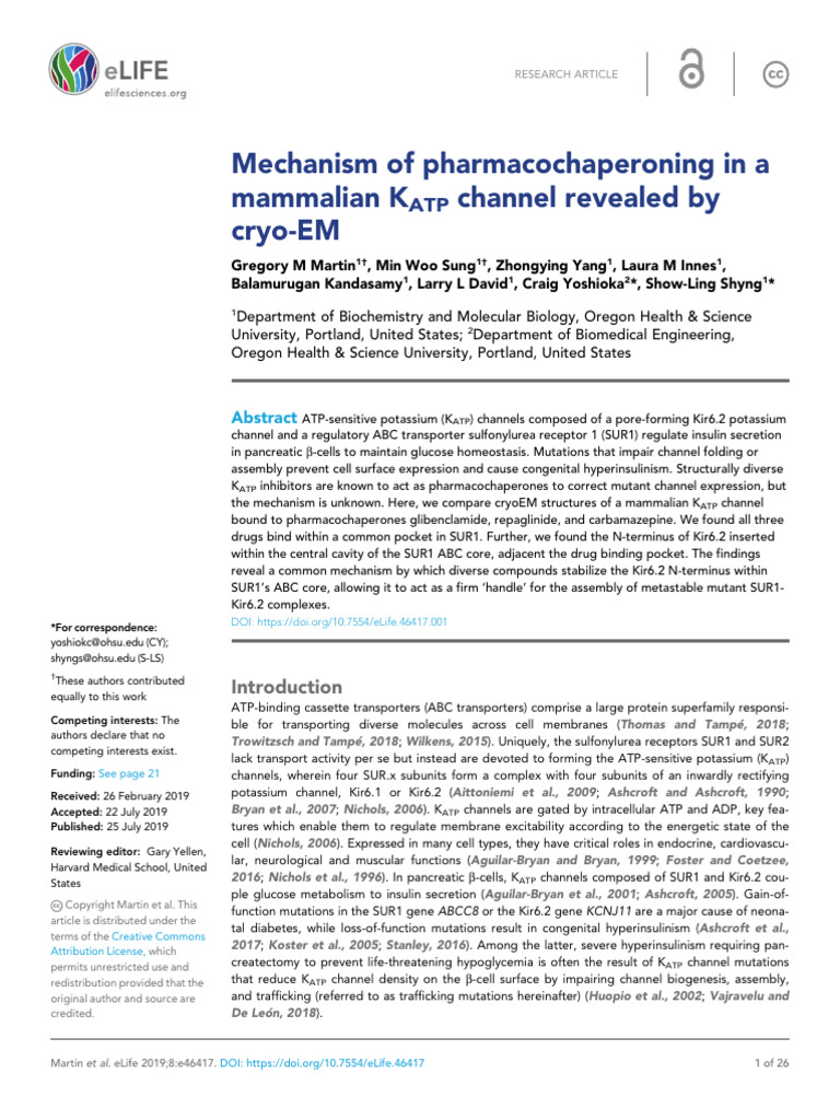 Mechanism of Pharmacochaperoning in A Mammalian KATP Channel Revealed ...