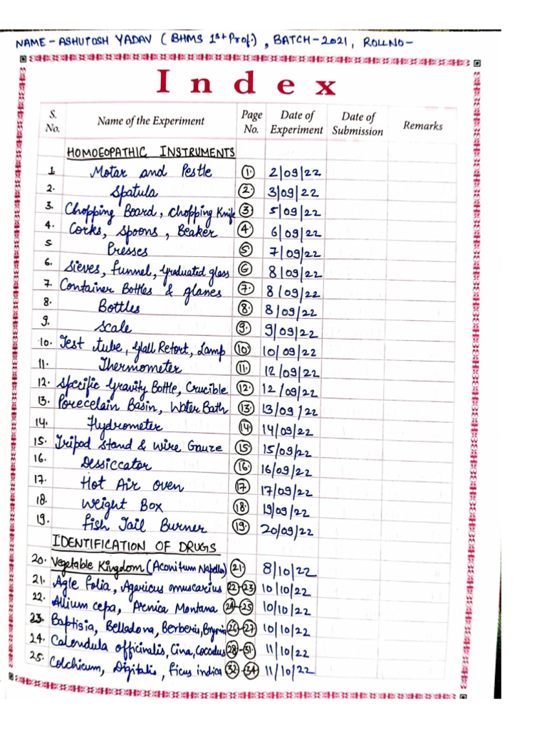 Pharmacy File PDF | PDF