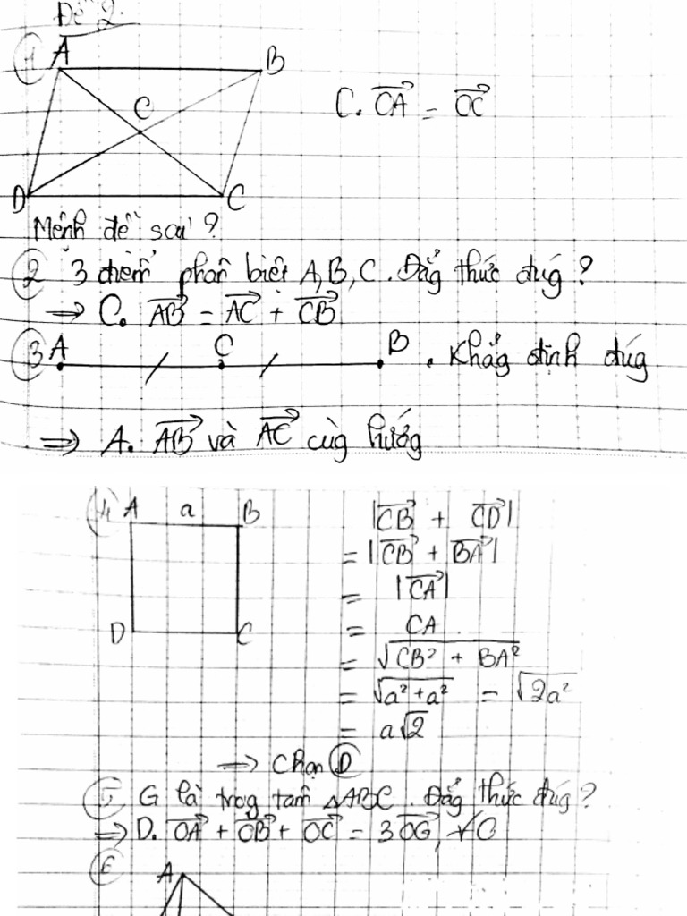 New Doc 5 | PDF