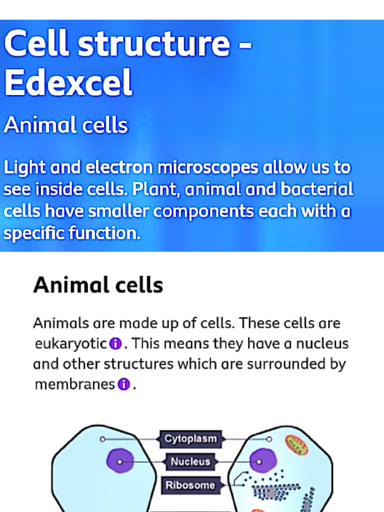 Cell Structure and Transport | PDF