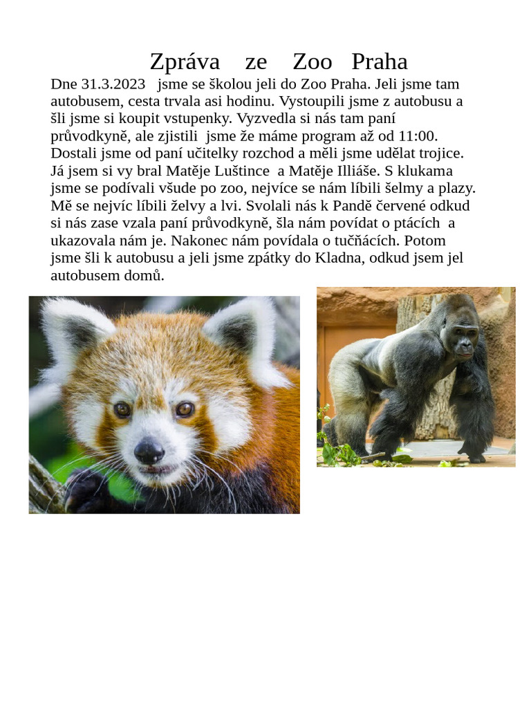 Zpráva Ze Zoo Praha | PDF