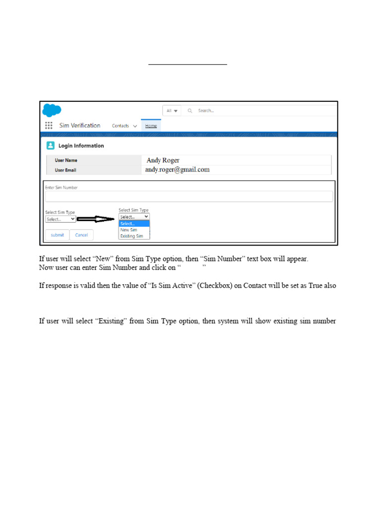 Online SIM Activation System Guide | PDF