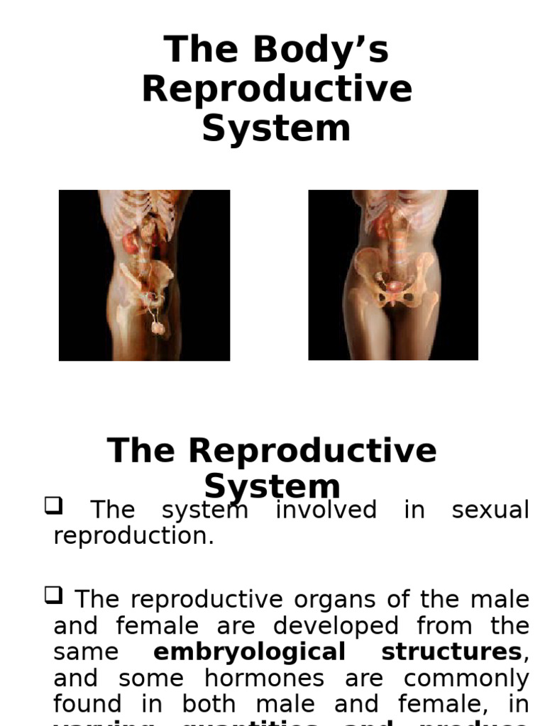 Overview of Human Reproductive System | PDF