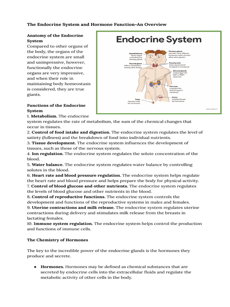 Overview of the Endocrine System | PDF | Hormone | Adrenal Gland