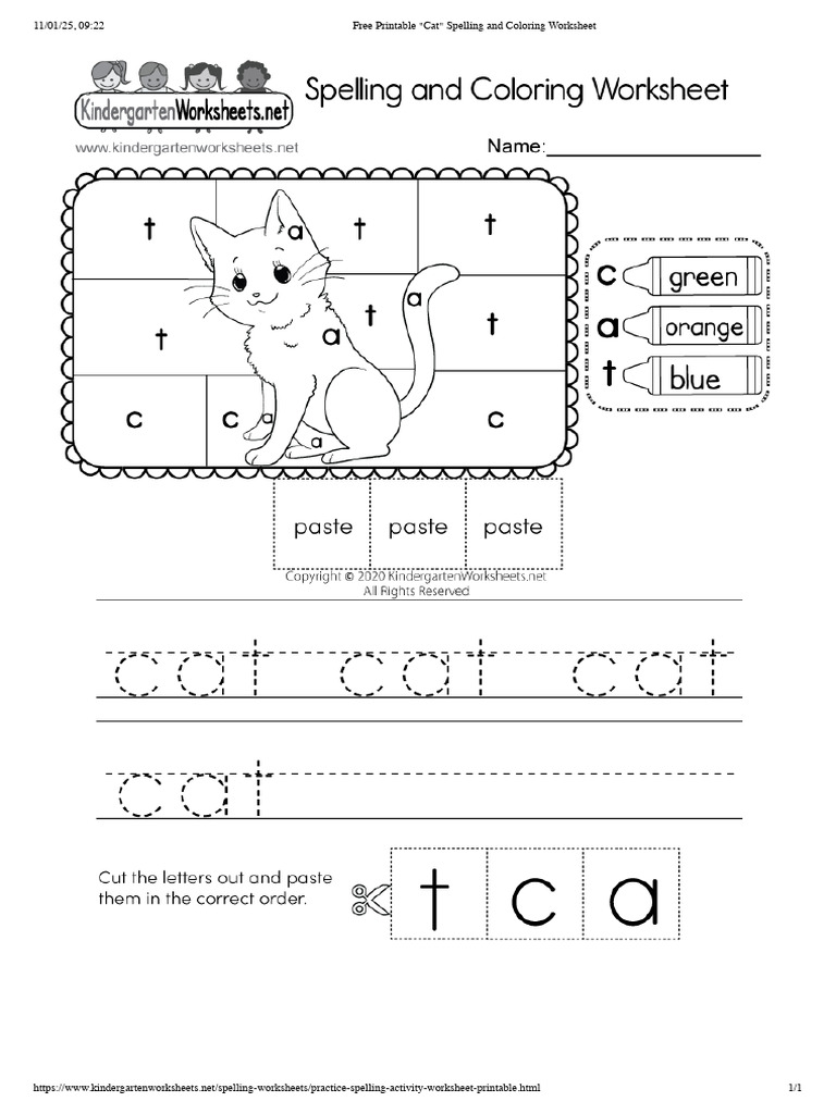 Cat | PDF