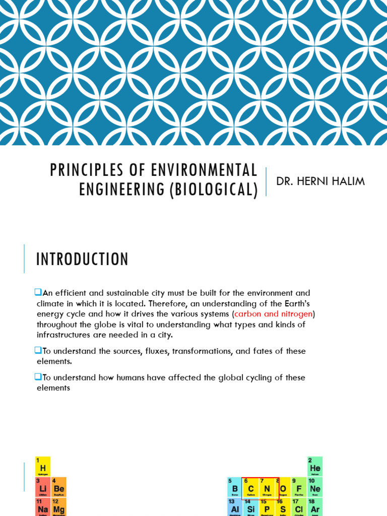 7.biological process | PDF | Nitrogen | Carbon