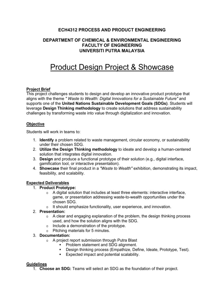 Project Description (1) | PDF | Sustainability | Design Thinking