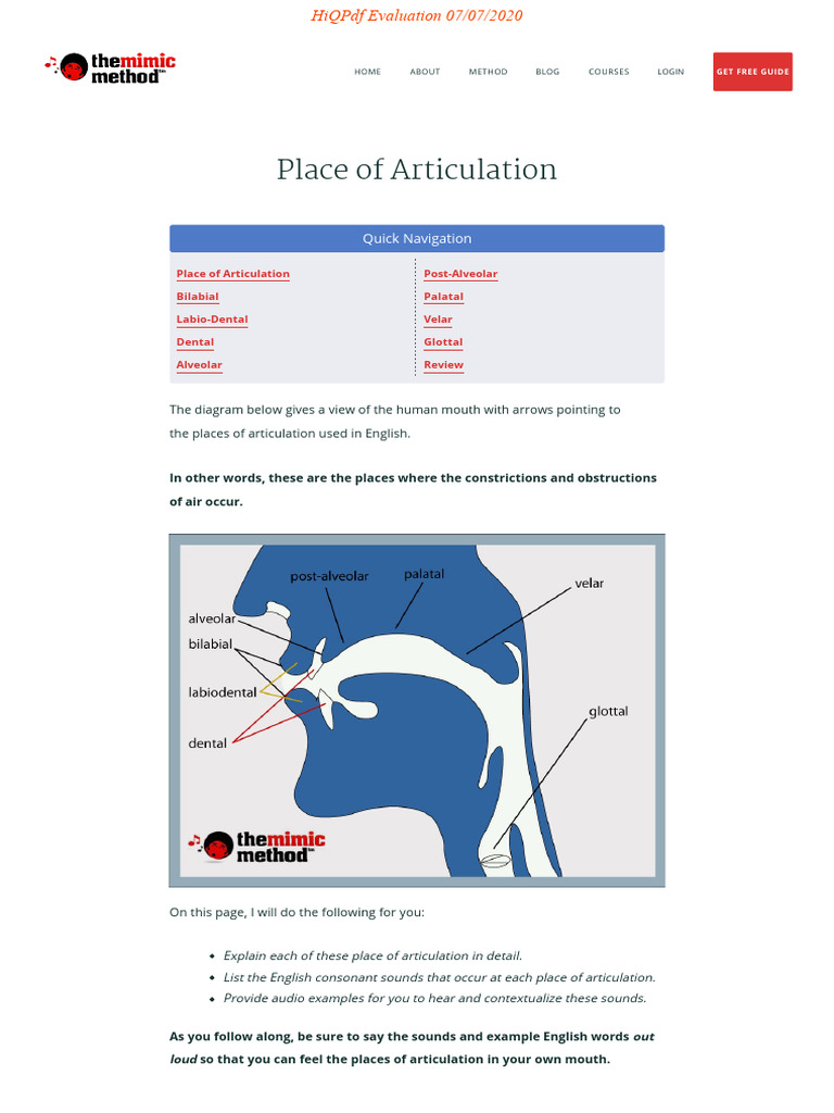 Places of Articulation | PDF | Human Voice | Phonetics