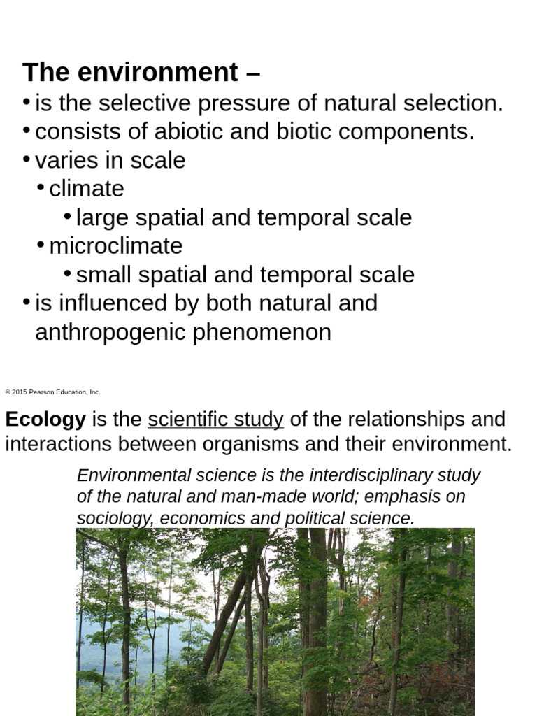 19 Ecology 26biomes Pdf Ecology Ecosystem
