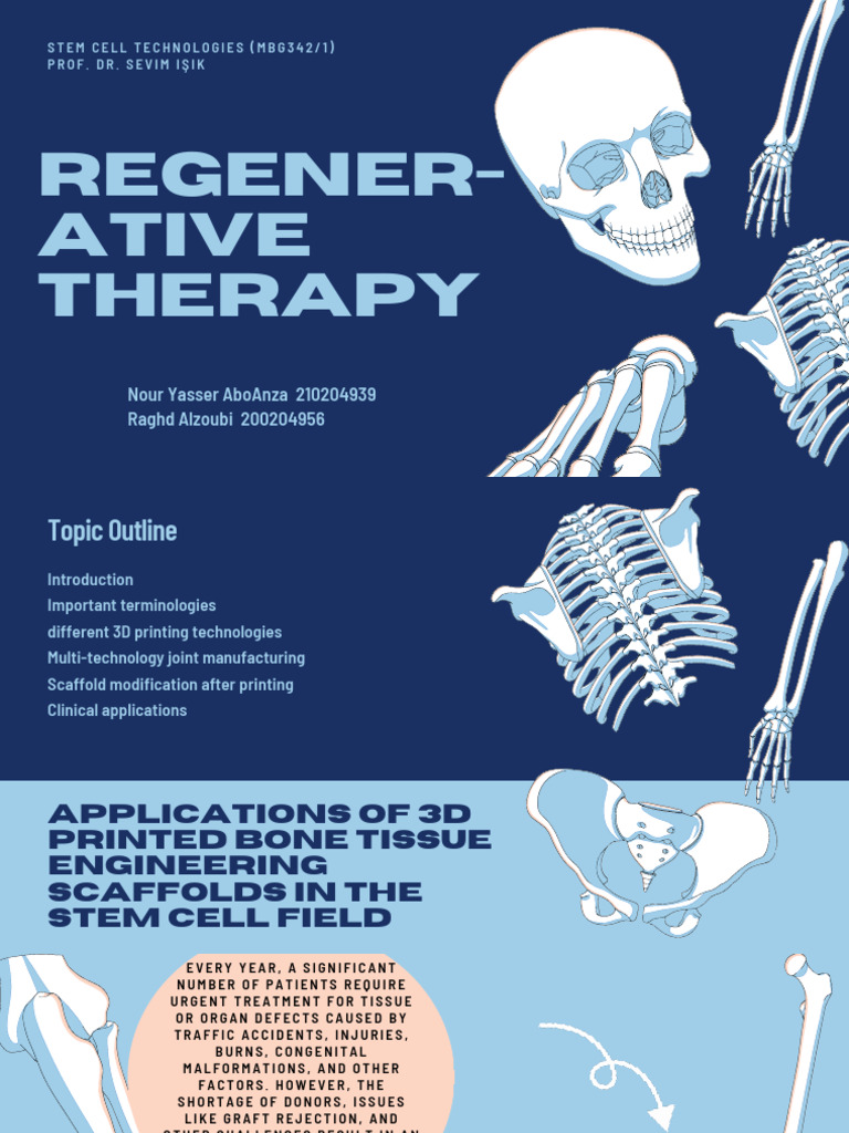 Applications of 3D printed bone tissue engineering scaffold in the stem ...