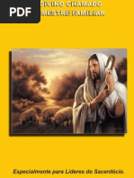 o divino chamado do mestre familiar - para lideres