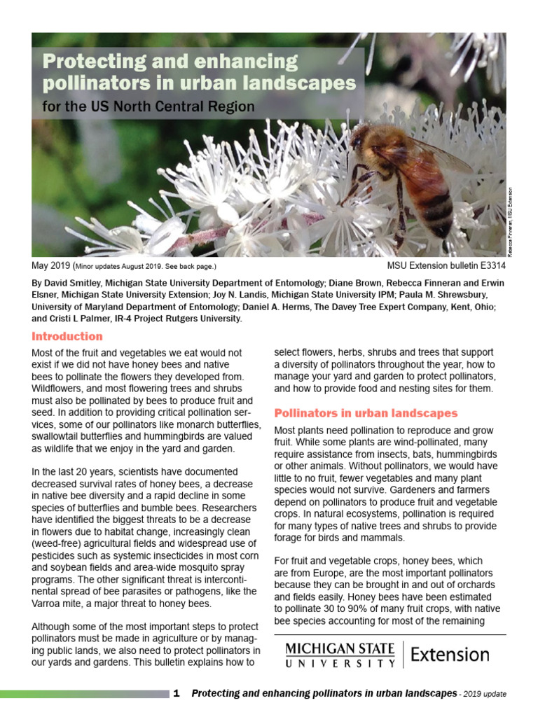 Urban Pollinator Protection Guide | PDF | Pollination | Bees