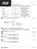 Test IV. Tkanki I Organy Roślinne Klucz Odpowiedzi | PDF