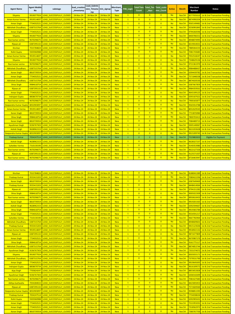 Lead Status Summary for November 2024 | PDF