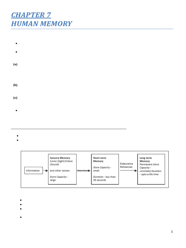 NOTES CHAP 7 | PDF | Recall (Memory) | Memory