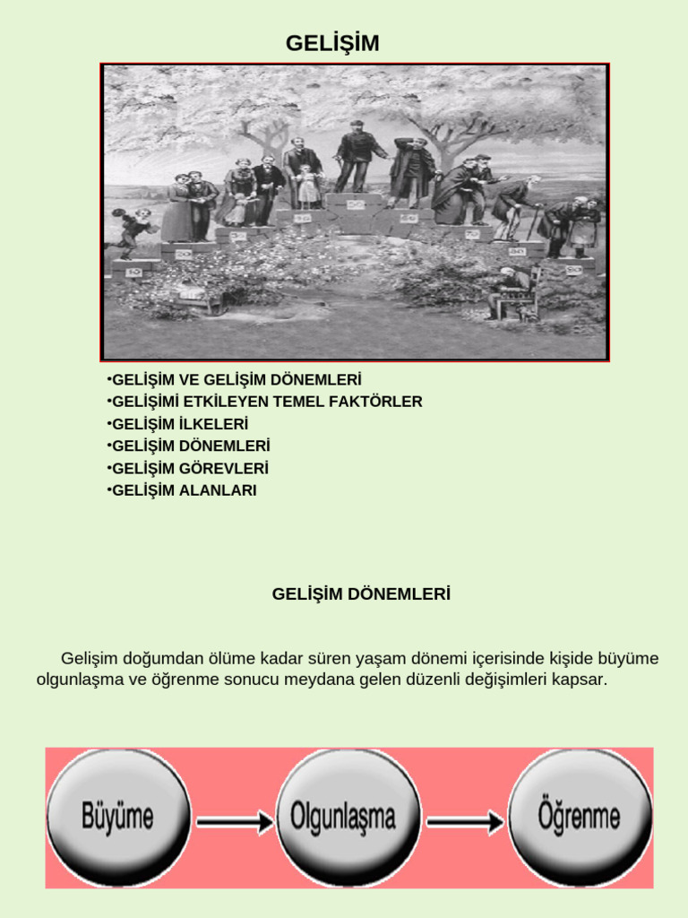 2 - Gelişim | PDF