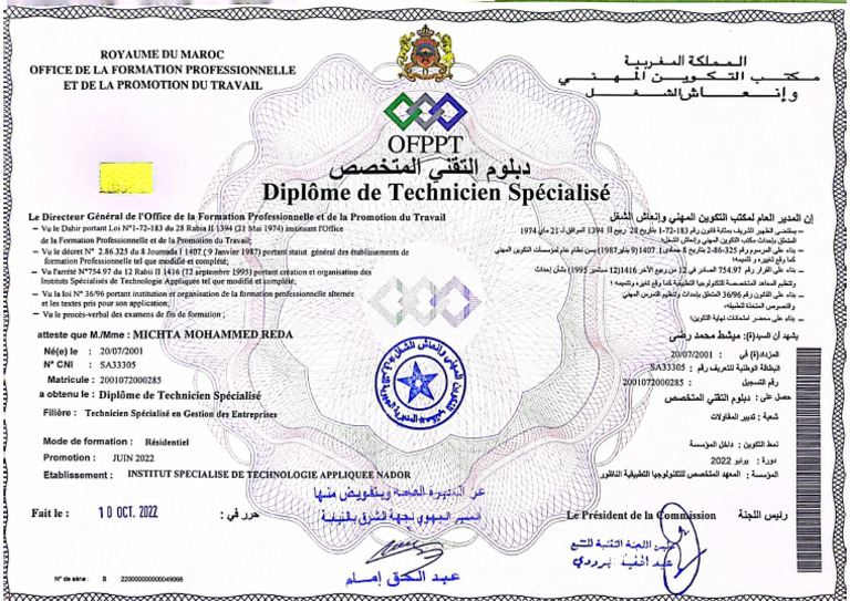 Diplôme TSGE | PDF