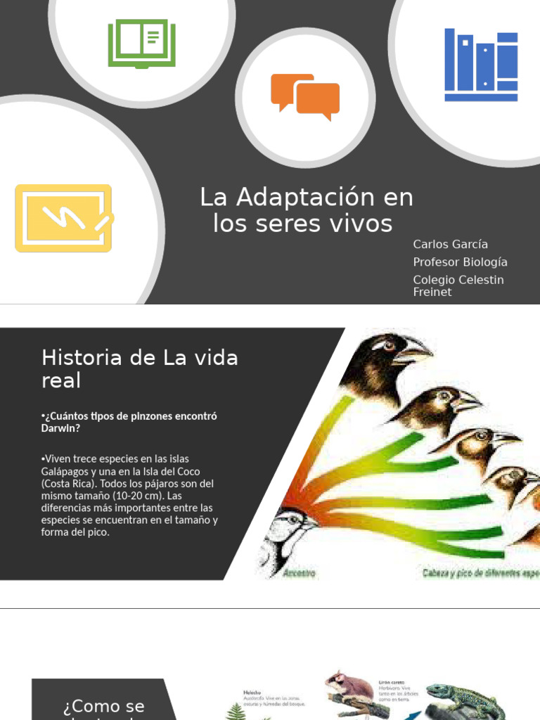 La Adaptación en Los Seres Vivos | PDF | Adaptación | Aves