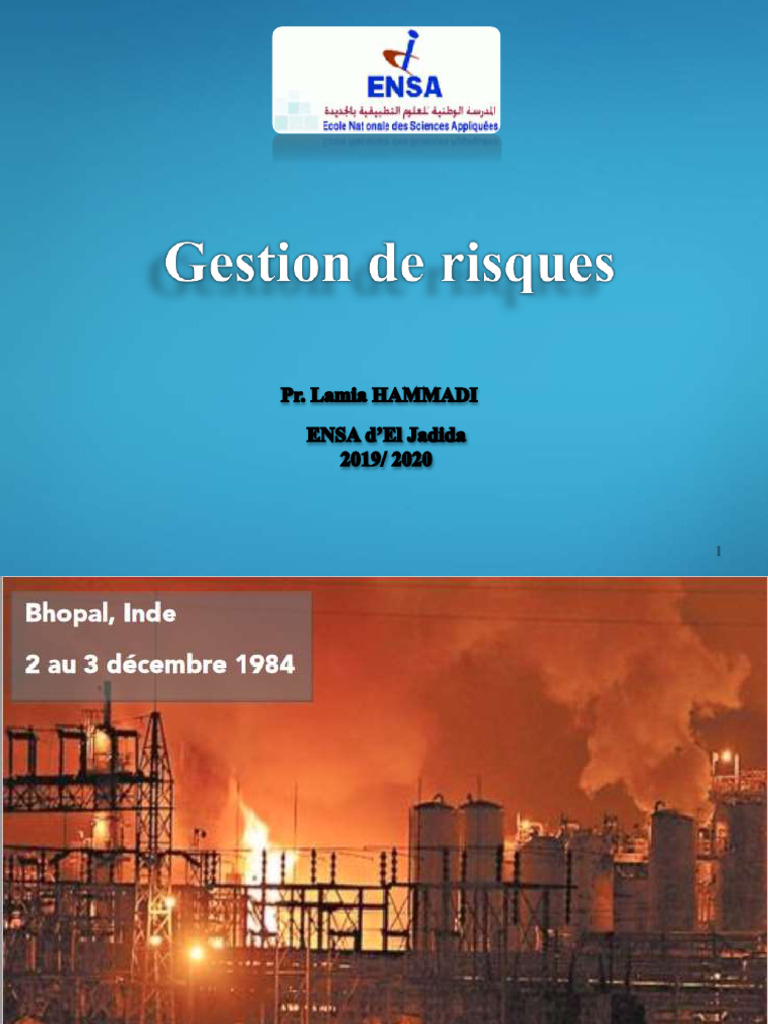 Gestion des Risques en Entreprise | PDF | Risque | Gestion des risques