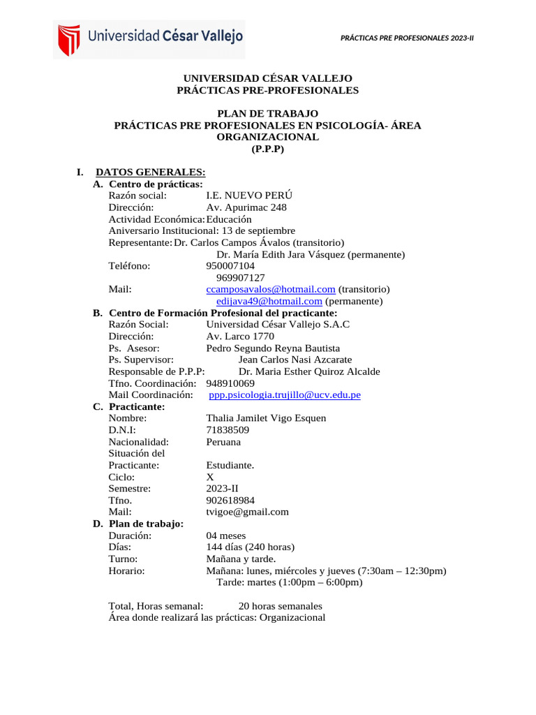 PLAN DE TRABAJO - ORGANIZACIONAL | PDF | Educación primaria | Enseñando