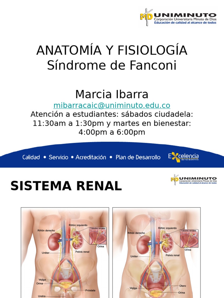 Síndrome de Fanconi: Anatomía y Fisiología | PDF