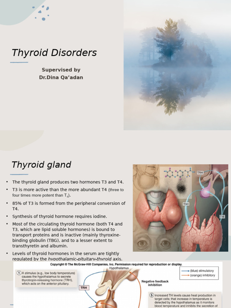 Thyroid Disorders 2023 | PDF | Hyperthyroidism | Hypothyroidism
