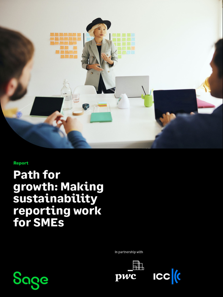 SME Sustainability Reporting Guide | PDF | Sustainability | Small And ...